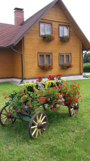 Hotels in Burtnieku Novads